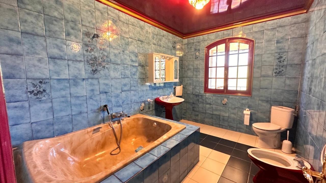 Villa David Horta